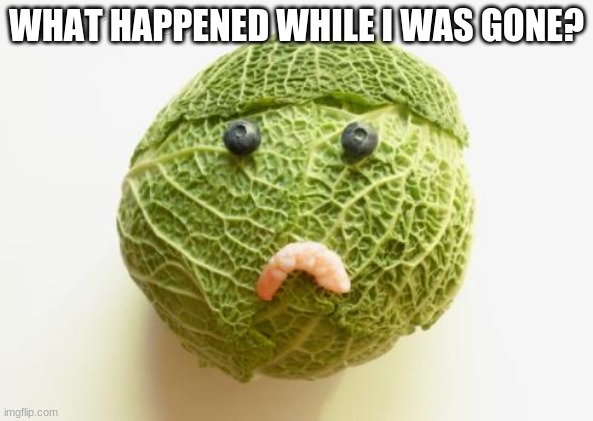 :( | WHAT HAPPENED WHILE I WAS GONE? | image tagged in sad cabbage | made w/ Imgflip meme maker