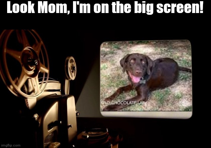 Look Mom, I'm on the big screen! | made w/ Imgflip meme maker