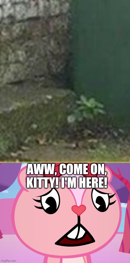 AWW, COME ON, KITTY! I'M HERE! | image tagged in sad giggles htf | made w/ Imgflip meme maker