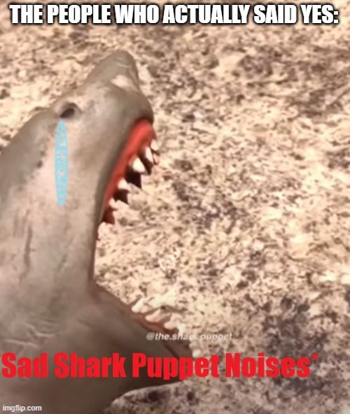 shark puppet is sad | THE PEOPLE WHO ACTUALLY SAID YES: | image tagged in shark puppet is sad | made w/ Imgflip meme maker