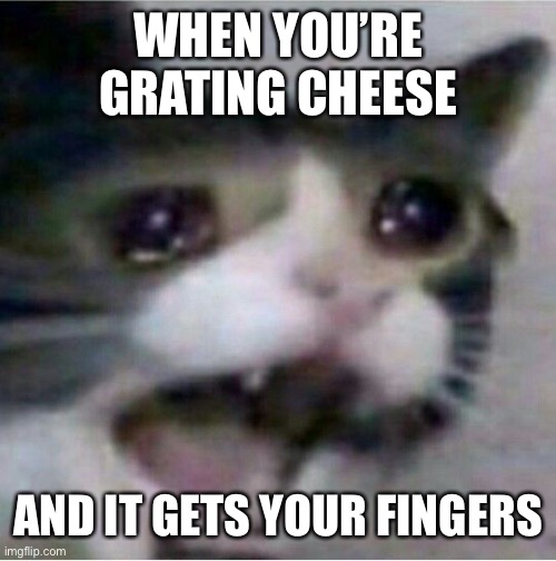 crying cat | WHEN YOU’RE GRATING CHEESE; AND IT GETS YOUR FINGERS | image tagged in crying cat | made w/ Imgflip meme maker