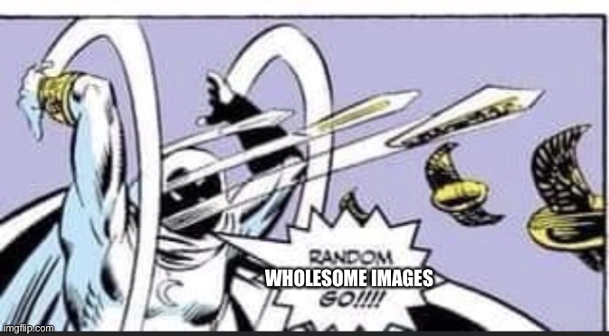 Oh yes | WHOLESOME IMAGES | image tagged in random bullshit go | made w/ Imgflip meme maker