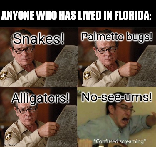 It has to be pretty horrible to scare Floridians. | ANYONE WHO HAS LIVED IN FLORIDA:; Snakes! Palmetto bugs! No-see-ums! Alligators! | image tagged in memes,meanwhile in florida | made w/ Imgflip meme maker