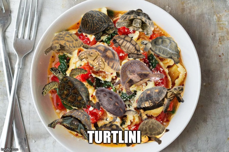 turtlini | TURTLINI | image tagged in turtlini | made w/ Imgflip meme maker