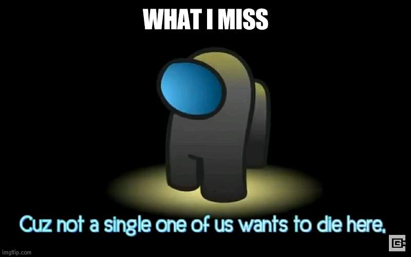 Among us | WHAT I MISS | image tagged in among us | made w/ Imgflip meme maker