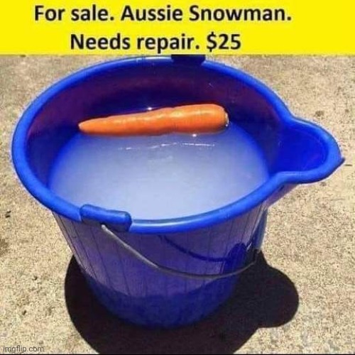 Aussie snowman | image tagged in snowman,frosty the snowman,snow,christmas,merry christmas,santa claus | made w/ Imgflip meme maker