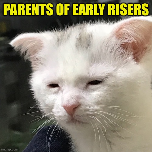 I'm awake, but at what cost? | PARENTS OF EARLY RISERS | image tagged in i'm awake but at what cost | made w/ Imgflip meme maker