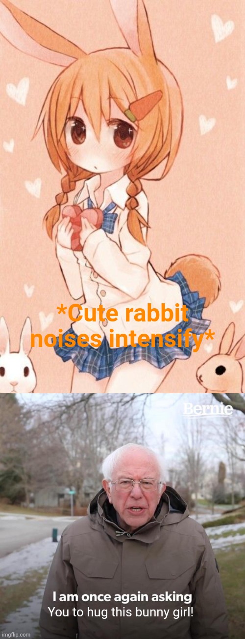 Bunny girl | *Cute rabbit noises intensify*; You to hug this bunny girl! | image tagged in memes,bernie i am once again asking for your support,bunny,anime girl,free hugs | made w/ Imgflip meme maker