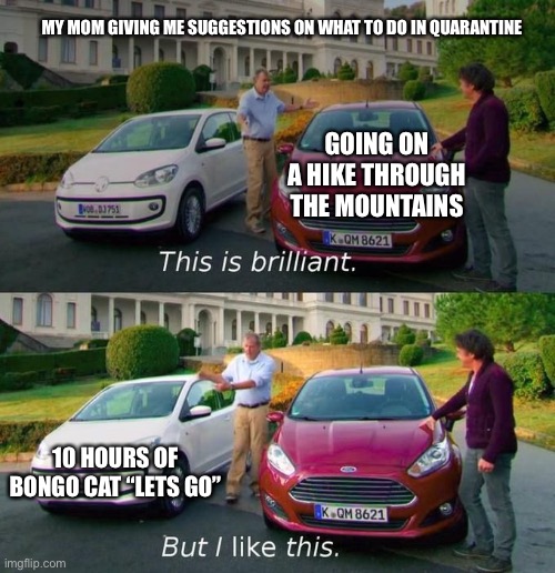 Quarantine in a nutshell #1 | MY MOM GIVING ME SUGGESTIONS ON WHAT TO DO IN QUARANTINE; GOING ON A HIKE THROUGH THE MOUNTAINS; 10 HOURS OF BONGO CAT “LETS GO” | image tagged in this is brilliant but i like this | made w/ Imgflip meme maker