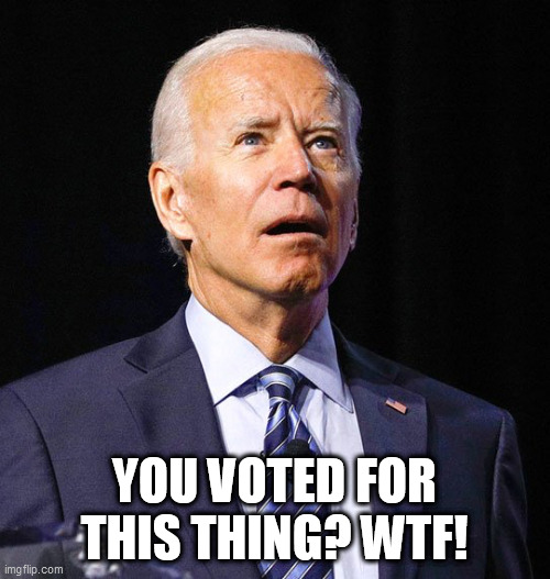 Joe Biden | YOU VOTED FOR THIS THING? WTF! | image tagged in joe biden | made w/ Imgflip meme maker