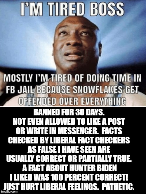 Pathetic Facebook Fact Checkers! Wrong As Usual! | BANNED FOR 30 DAYS. NOT EVEN ALLOWED TO LIKE A POST OR WRITE IN MESSENGER.  FACTS CHECKED BY LIBERAL FACT CHECKERS AS FALSE I HAVE SEEN ARE USUALLY CORRECT OR PARTIALLY TRUE.  A FACT ABOUT HUNTER BIDEN I LIKED WAS 100 PERCENT CORRECT!  JUST HURT LIBERAL FEELINGS.  PATHETIC. | image tagged in facebook,fact check | made w/ Imgflip meme maker