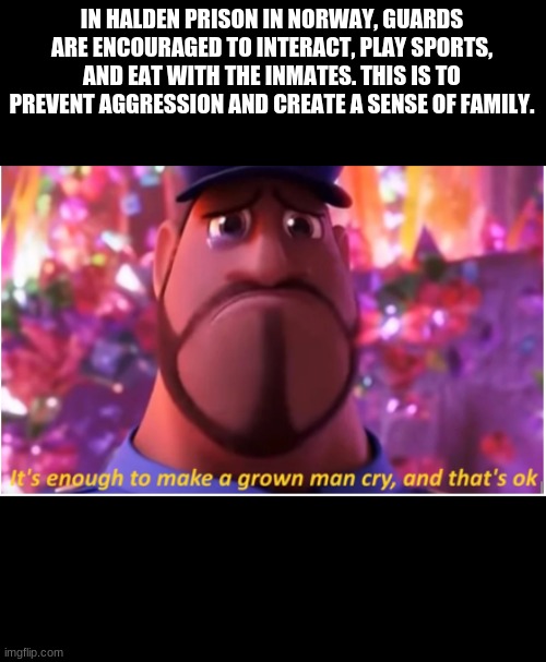 fun fact - meme | IN HALDEN PRISON IN NORWAY, GUARDS ARE ENCOURAGED TO INTERACT, PLAY SPORTS, AND EAT WITH THE INMATES. THIS IS TO PREVENT AGGRESSION AND CREATE A SENSE OF FAMILY. | image tagged in it's enough to make a grown man cry and that's ok | made w/ Imgflip meme maker