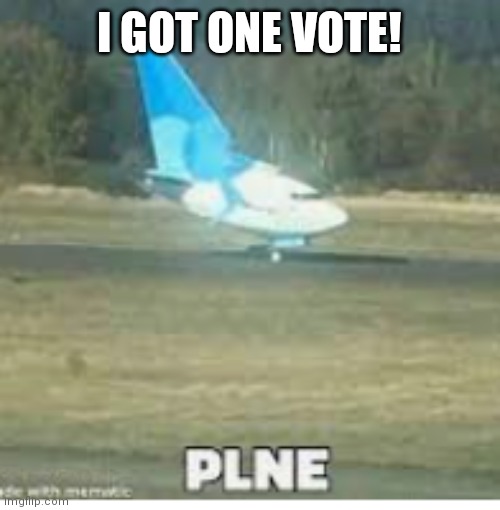 Plne | I GOT ONE VOTE! | image tagged in plne | made w/ Imgflip meme maker