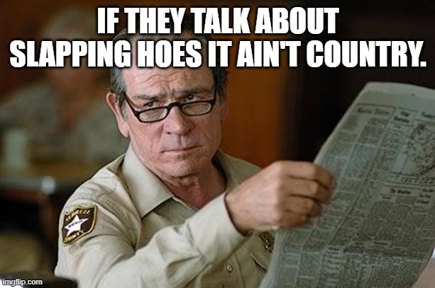 Really? | IF THEY TALK ABOUT SLAPPING HOES IT AIN'T COUNTRY. | image tagged in really | made w/ Imgflip meme maker