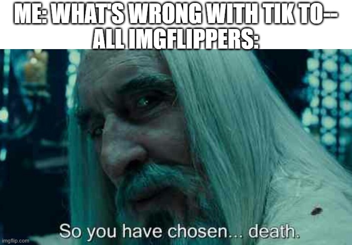 i mean really, what does imgflip have against it? | ME: WHAT'S WRONG WITH TIK TO--
ALL IMGFLIPPERS: | image tagged in so you have chosen death,tik tok,imgflip users | made w/ Imgflip meme maker