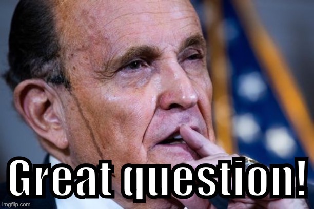 Rudy Giuliani great question | image tagged in rudy giuliani great question,good question,rudy giuliani,giuliani,politics lol,question | made w/ Imgflip meme maker
