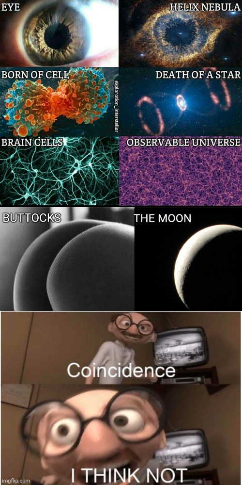 The Celestial Body | image tagged in coincidence i think not,intelligent,design,funny,science,meme | made w/ Imgflip meme maker