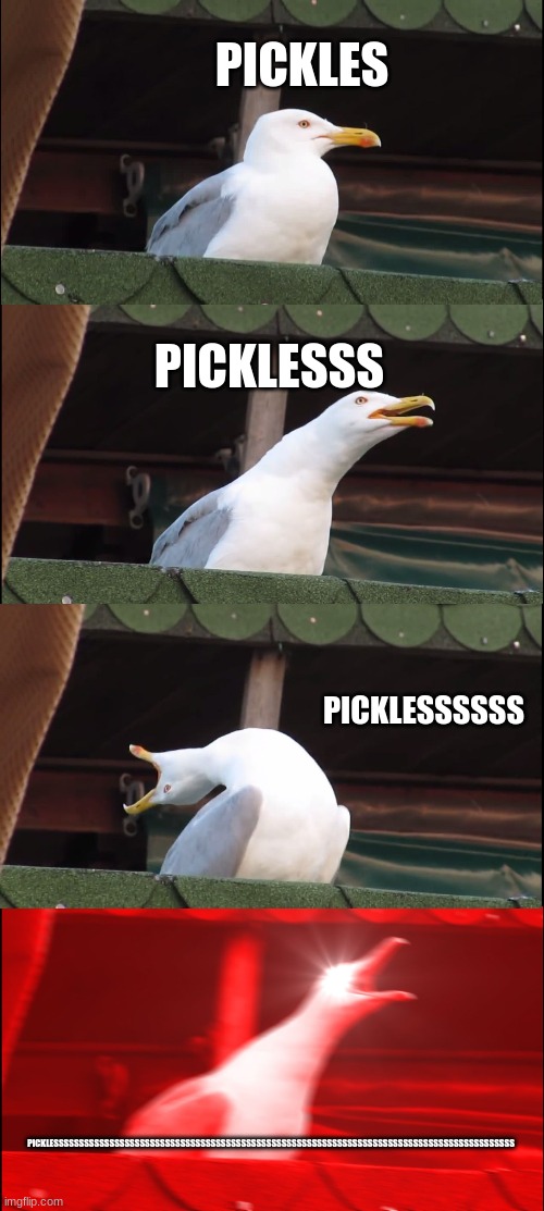 pickle overload | PICKLES; PICKLESSS; PICKLESSSSSS; PICKLESSSSSSSSSSSSSSSSSSSSSSSSSSSSSSSSSSSSSSSSSSSSSSSSSSSSSSSSSSSSSSSSSSSSSSSSSSSSSSSSSSSSSSSSSSS | image tagged in memes,inhaling seagull | made w/ Imgflip meme maker