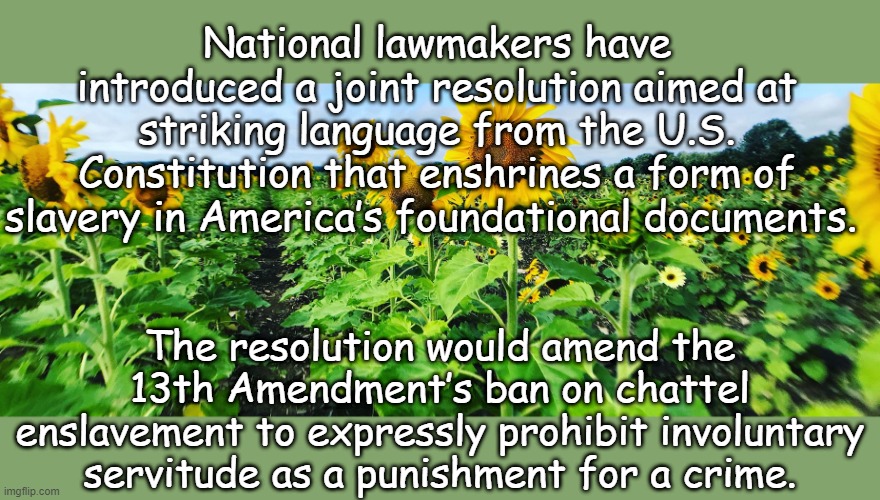 Constitution | National lawmakers have introduced a joint resolution aimed at striking language from the U.S. Constitution that enshrines a form of slavery in America’s foundational documents. The resolution would amend the 13th Amendment’s ban on chattel enslavement to expressly prohibit involuntary servitude as a punishment for a crime. | image tagged in slavery | made w/ Imgflip meme maker