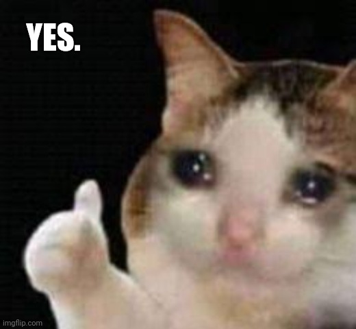 Approved crying cat | YES. | image tagged in approved crying cat | made w/ Imgflip meme maker