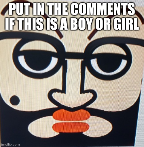 Put in the comments of this is a boy or girl | PUT IN THE COMMENTS IF THIS IS A BOY OR GIRL | image tagged in boy or girl | made w/ Imgflip meme maker