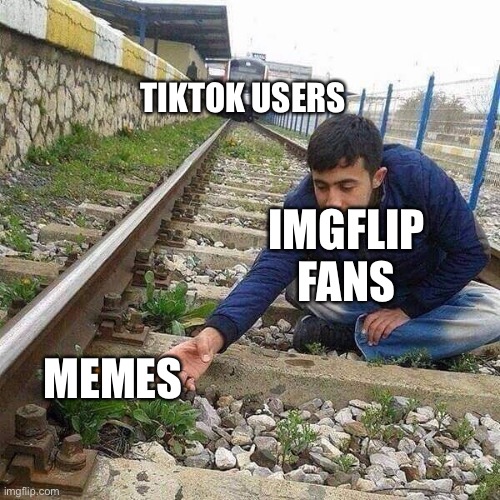 [FOR IMGFLIP USERS] (DIE IMGFLIP/TIKTOK HATERS HAHAHAH STAY MAD IMGFLIP USERS) | TIKTOK USERS; IMGFLIP FANS; MEMES | image tagged in flower train man,tiktok haters,imgflip users | made w/ Imgflip meme maker