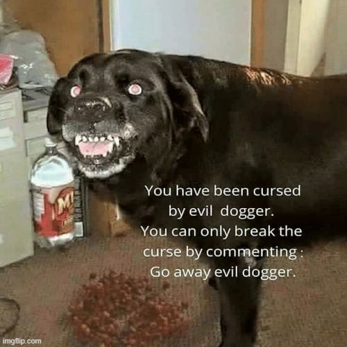 GO AWAY EVIL DOGGER | image tagged in doggo,evil | made w/ Imgflip meme maker