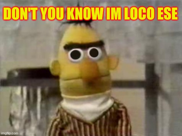Bert Stare | DON'T YOU KNOW IM LOCO ESE | image tagged in bert stare | made w/ Imgflip meme maker