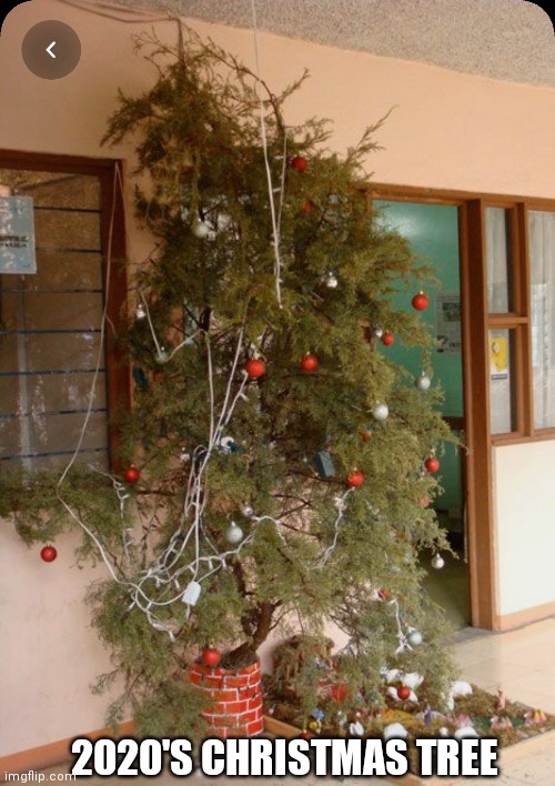 2020's Christmas Tree | 2020'S CHRISTMAS TREE | image tagged in 2020 sucks | made w/ Imgflip meme maker