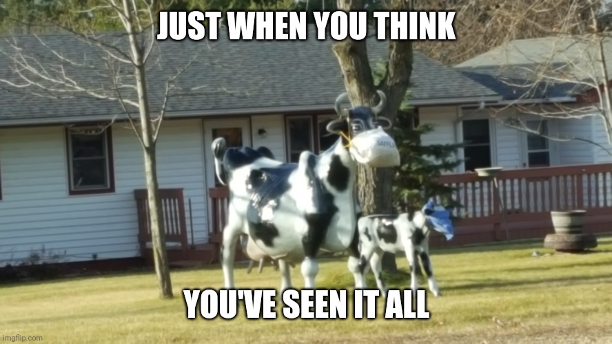  JUST WHEN YOU THINK; YOU'VE SEEN IT ALL | made w/ Imgflip meme maker