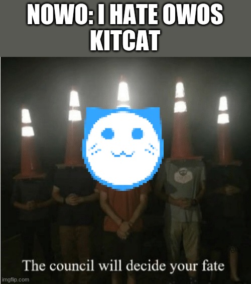 imagine hating OwOs | NOWO: I HATE OWOS
KITCAT | image tagged in the council will decide your fate | made w/ Imgflip meme maker