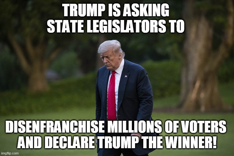 Trump loses | TRUMP IS ASKING 
STATE LEGISLATORS TO; DISENFRANCHISE MILLIONS OF VOTERS 
AND DECLARE TRUMP THE WINNER! | image tagged in donald trump,election 2016 aftermath | made w/ Imgflip meme maker