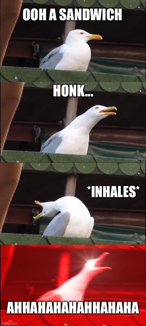 Ooh a sandwich | OOH A SANDWICH; HONK... *INHALES*; AHHAHAHAHAHHAHAHA | image tagged in memes,inhaling seagull | made w/ Imgflip meme maker
