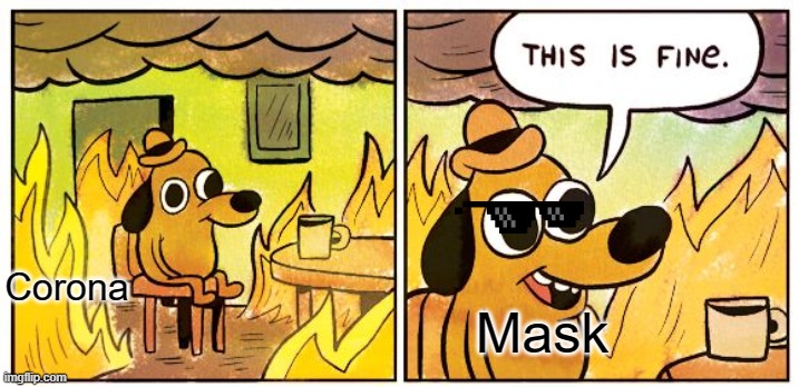 This Is Fine | Corona; Mask | image tagged in memes,this is fine | made w/ Imgflip meme maker