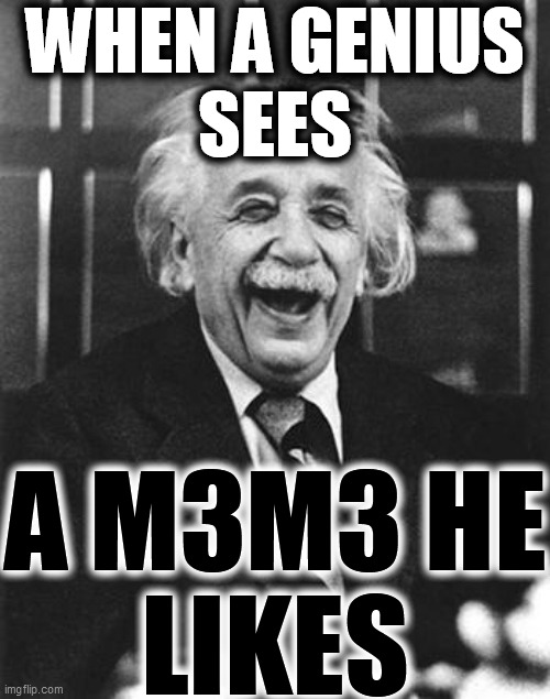 Einstein laugh | WHEN A GENIUS
SEES A M3M3 HE
LIKES | image tagged in einstein laugh | made w/ Imgflip meme maker