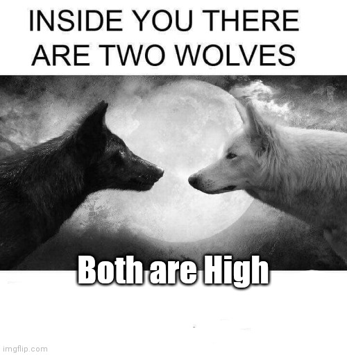 Two wolves | Both are High | image tagged in inside you there are two wolves,high,stoner,weed,marijuana | made w/ Imgflip meme maker