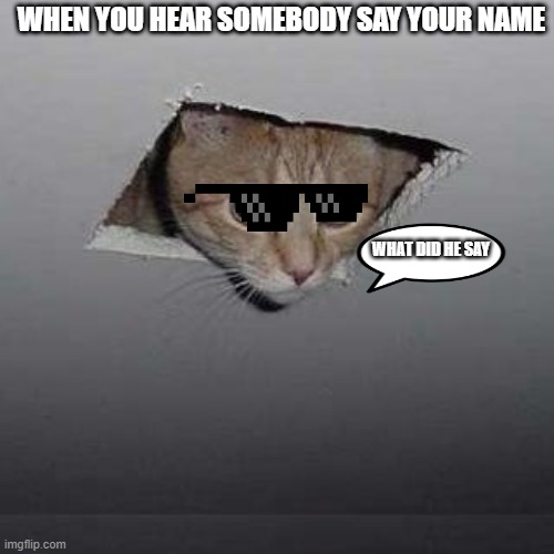 Ceiling Cat Meme | WHEN YOU HEAR SOMEBODY SAY YOUR NAME; WHAT DID HE SAY | image tagged in memes,ceiling cat | made w/ Imgflip meme maker