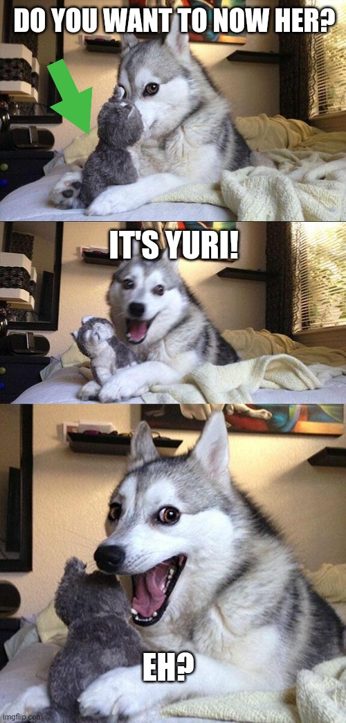 Bad Pun Dog | DO YOU WANT TO NOW HER? IT'S YURI! EH? | image tagged in memes,bad pun dog | made w/ Imgflip meme maker