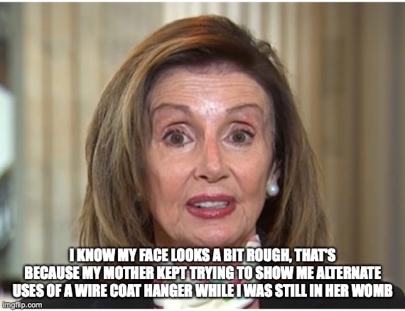 Nancy Pelosi | I KNOW MY FACE LOOKS A BIT ROUGH, THAT'S BECAUSE MY MOTHER KEPT TRYING TO SHOW ME ALTERNATE USES OF A WIRE COAT HANGER WHILE I WAS STILL IN HER WOMB | image tagged in political meme | made w/ Imgflip meme maker