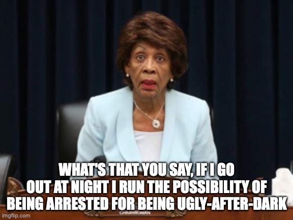 Mad Maxine | WHAT'S THAT YOU SAY, IF I GO OUT AT NIGHT I RUN THE POSSIBILITY OF BEING ARRESTED FOR BEING UGLY-AFTER-DARK | image tagged in political meme | made w/ Imgflip meme maker
