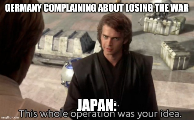 HOLD ON | GERMANY COMPLAINING ABOUT LOSING THE WAR; JAPAN: | image tagged in hold on this whole operation was your idea | made w/ Imgflip meme maker