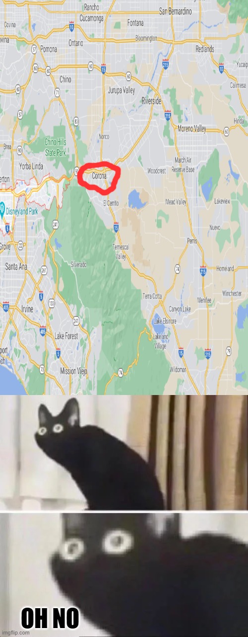 I was just searching up Disneyland Park in Anaheim and then I ran into this | OH NO | image tagged in oh no black cat,california,uh oh | made w/ Imgflip meme maker