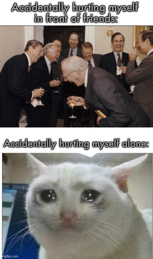 Accidentally hurting myself 
in front of friends:; Accidentally hurting myself alone: | image tagged in memes,laughing men in suits,crying cat | made w/ Imgflip meme maker