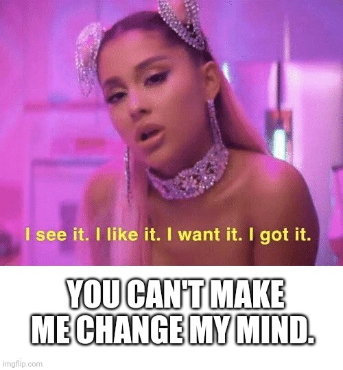 I See it, I Like it | YOU CAN'T MAKE ME CHANGE MY MIND. | image tagged in i see it i like it | made w/ Imgflip meme maker