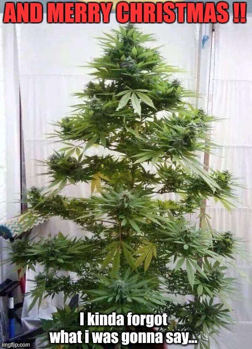 Sh*t Happens, Just keep On Truckin...MERRY CHRISTMAS All'Ya'All's! | I kinda forgot what i was gonna say... | image tagged in 1970s,merry christmas,christmas tree | made w/ Imgflip meme maker