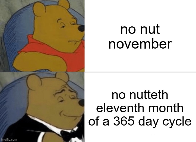 the only nnn meme I have seen on this site |  no nut november; no nutteth eleventh month of a 365 day cycle | image tagged in memes,tuxedo winnie the pooh | made w/ Imgflip meme maker