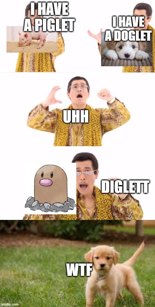 got the doglet idea from shy_ | I HAVE A PIGLET; I HAVE A DOGLET; UHH; DIGLETT; WTF | image tagged in memes,ppap | made w/ Imgflip meme maker