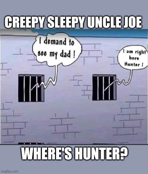 Bidens Suck | CREEPY SLEEPY UNCLE JOE; WHERE'S HUNTER? | image tagged in stupid liberals | made w/ Imgflip meme maker