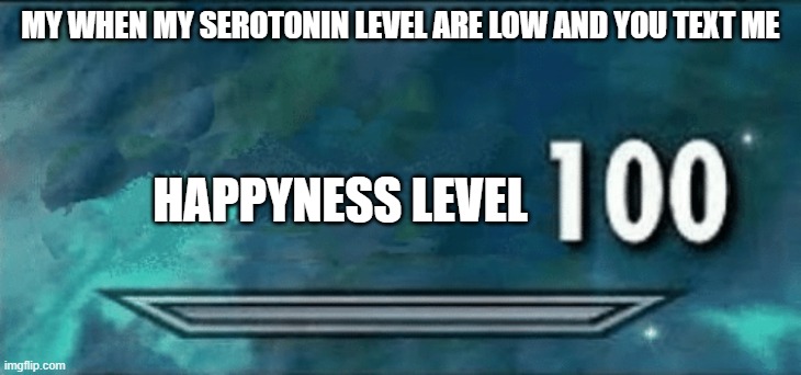 happyness | MY WHEN MY SEROTONIN LEVEL ARE LOW AND YOU TEXT ME; HAPPYNESS LEVEL | image tagged in skyrim skill 100 | made w/ Imgflip meme maker