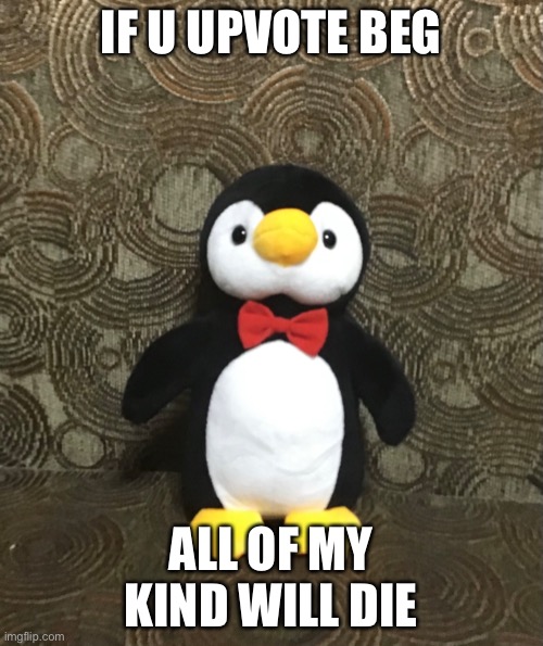 Penguin | IF U UPVOTE BEG; ALL OF MY KIND WILL DIE | image tagged in save us | made w/ Imgflip meme maker